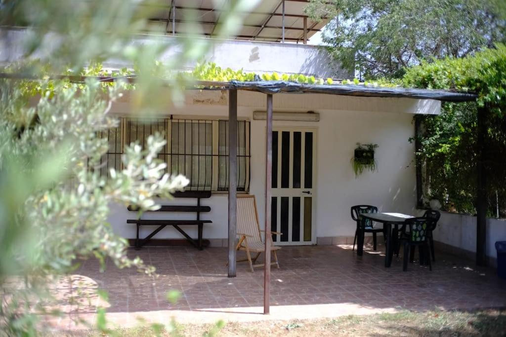 Artist House photo 2