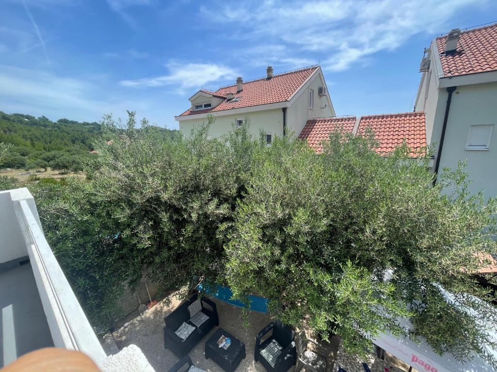 my home Promajna photo 4
