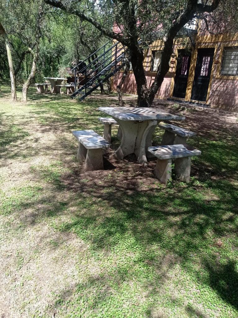 Bosquecito de Carpin photo 4