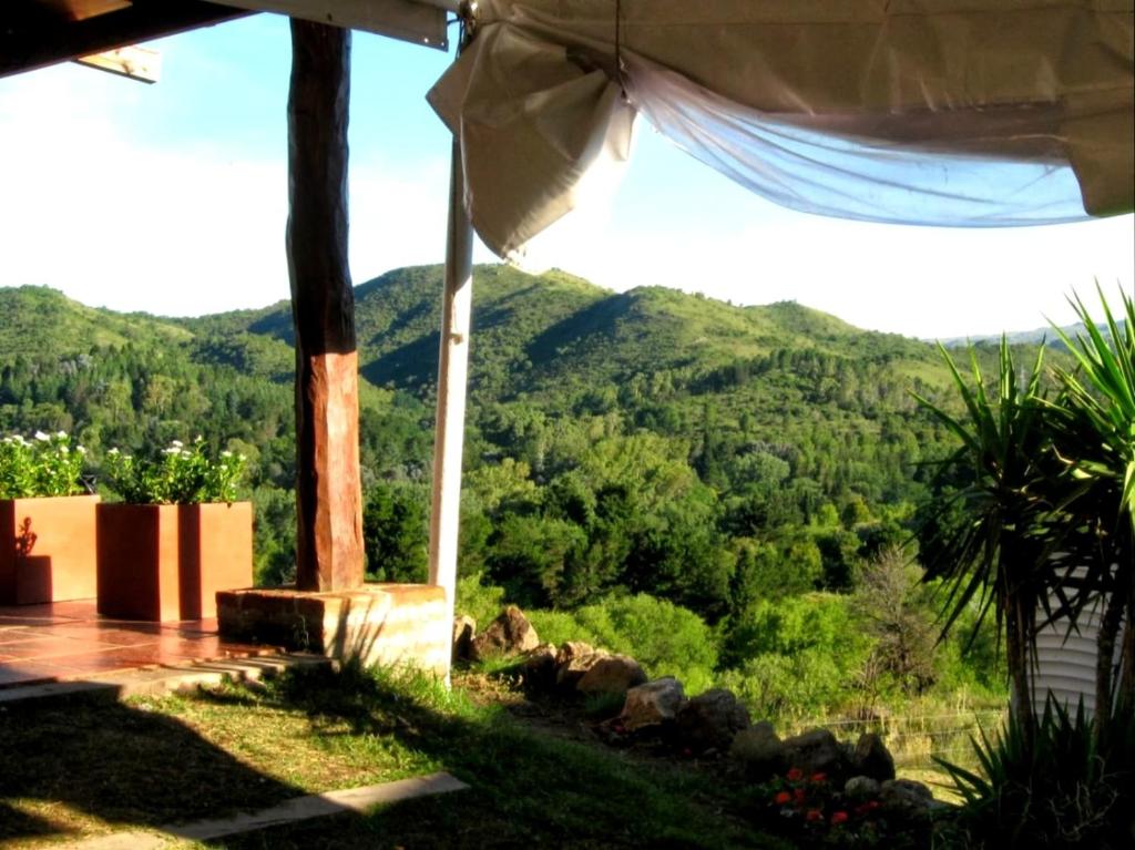 El Calden photo 3
