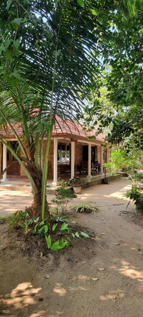 Nature love Negombo photo 1