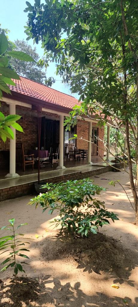 Nature love Negombo photo 3