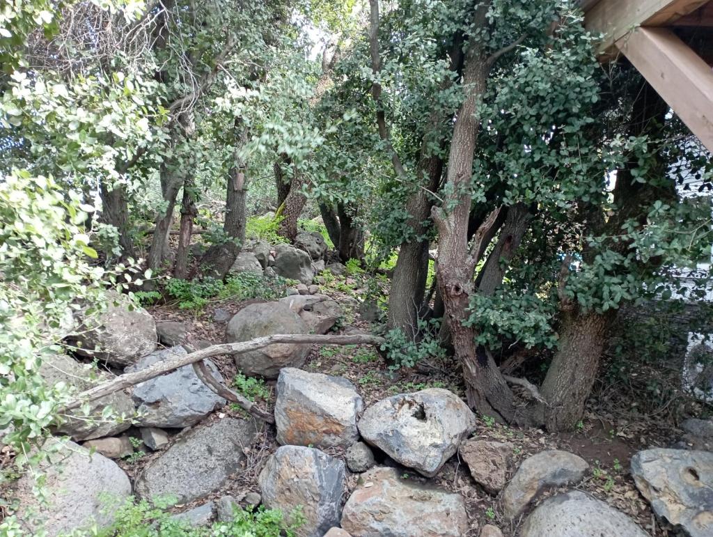 Zini House photo 1