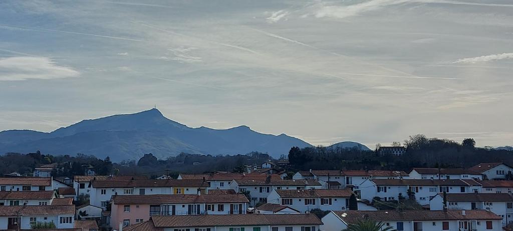 Vacances tout a pied! Vue montagne, échappée océan, pour 4 personnes photo 2