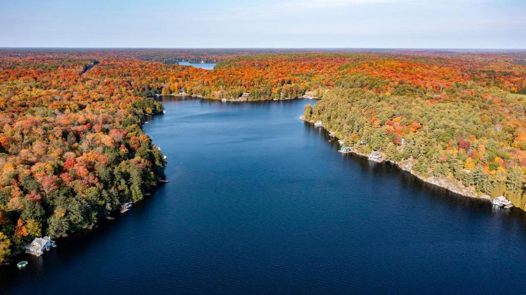 Sunny Daze on Rosseau