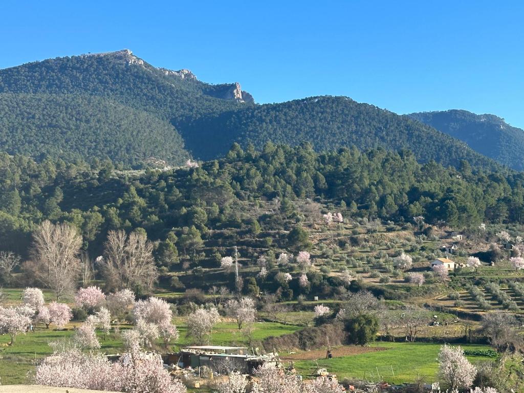 Casa Nostra photo 4