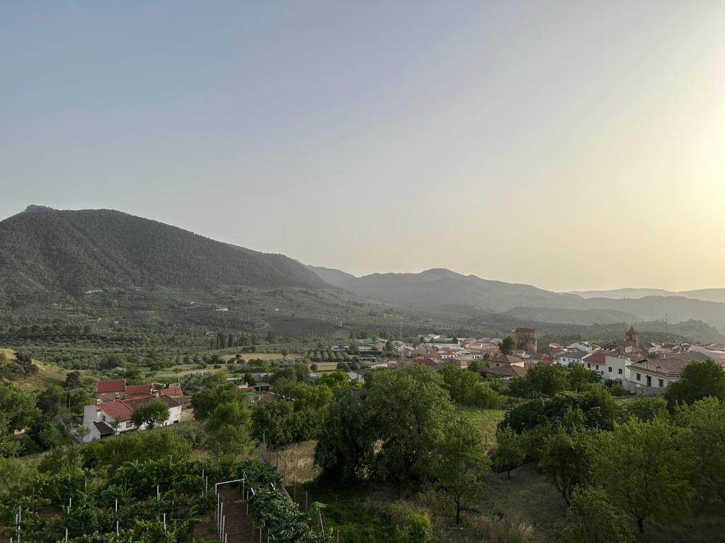 Casa Nostra photo 3