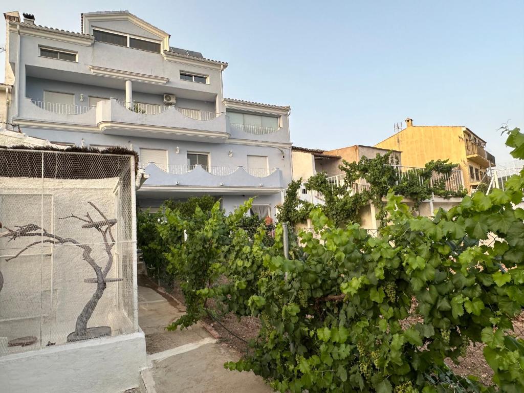 Casa Nostra photo 1