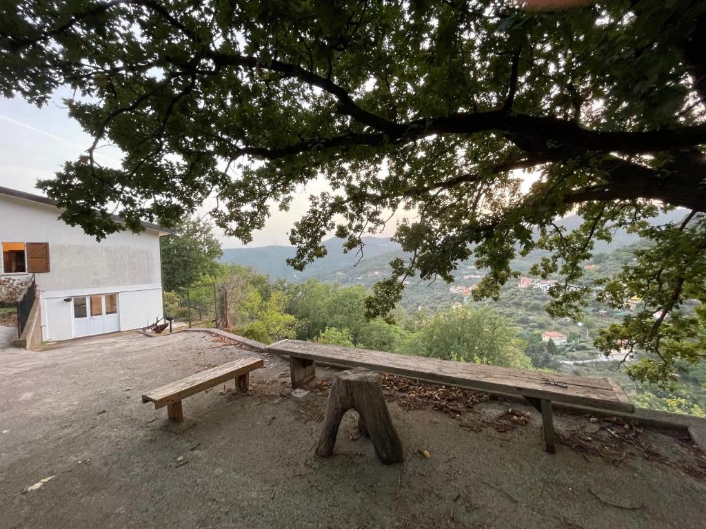 Casa in campagna: Completo Relax photo 3