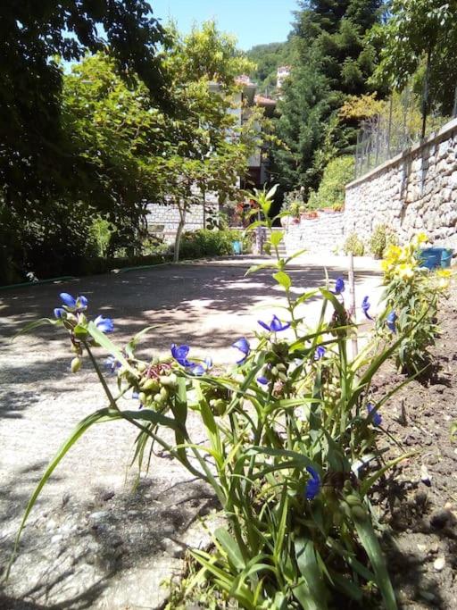 Αρχοντικό Ειρήνη - 6 Metsovo photo 3