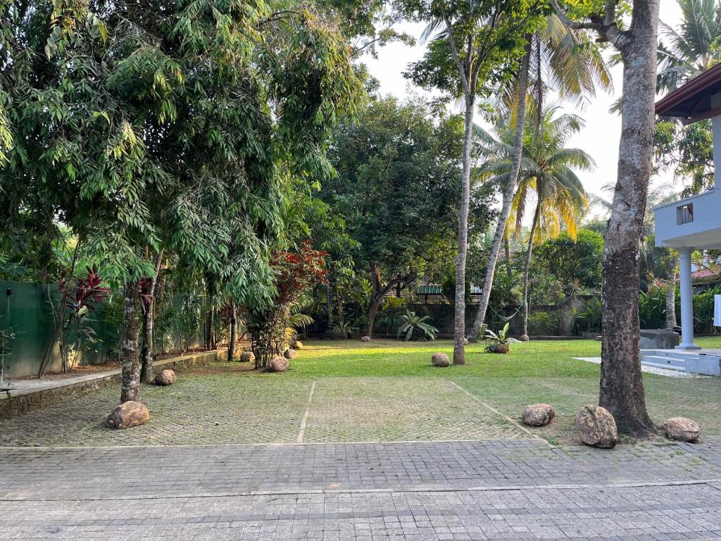 Tropical Retreat Villa photo 2