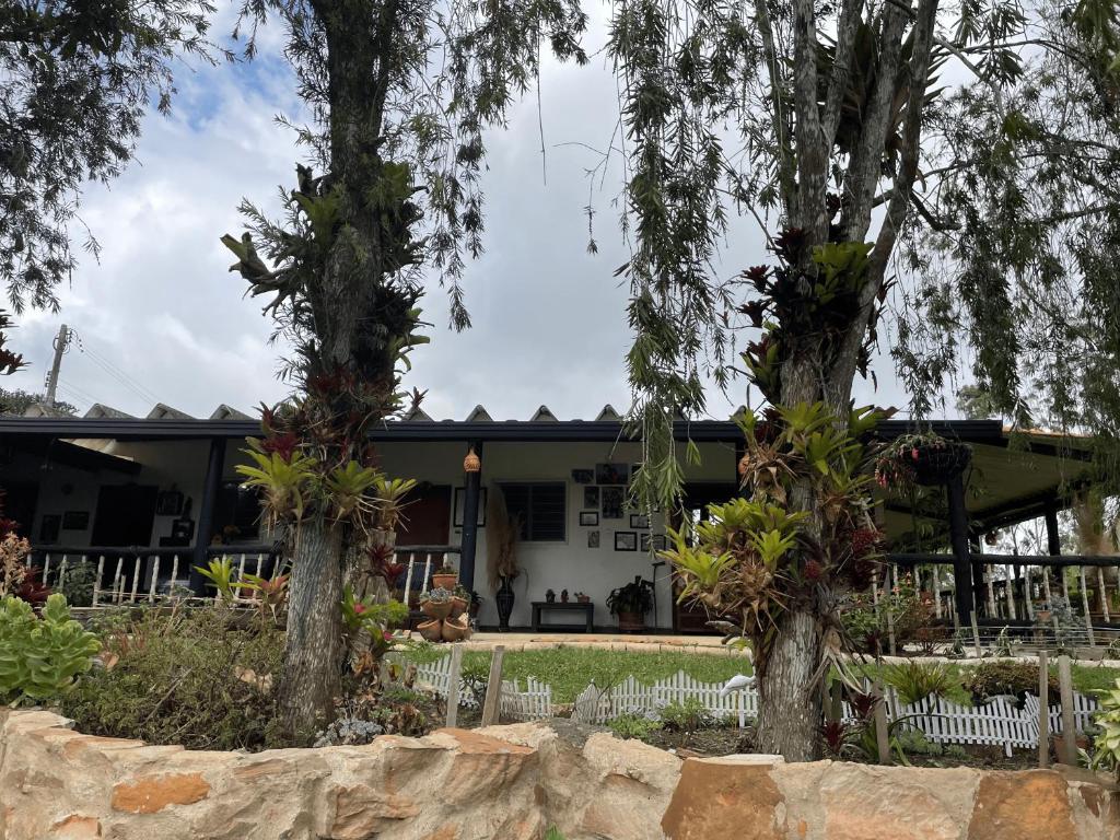 Hostal greenlandomesa photo 1