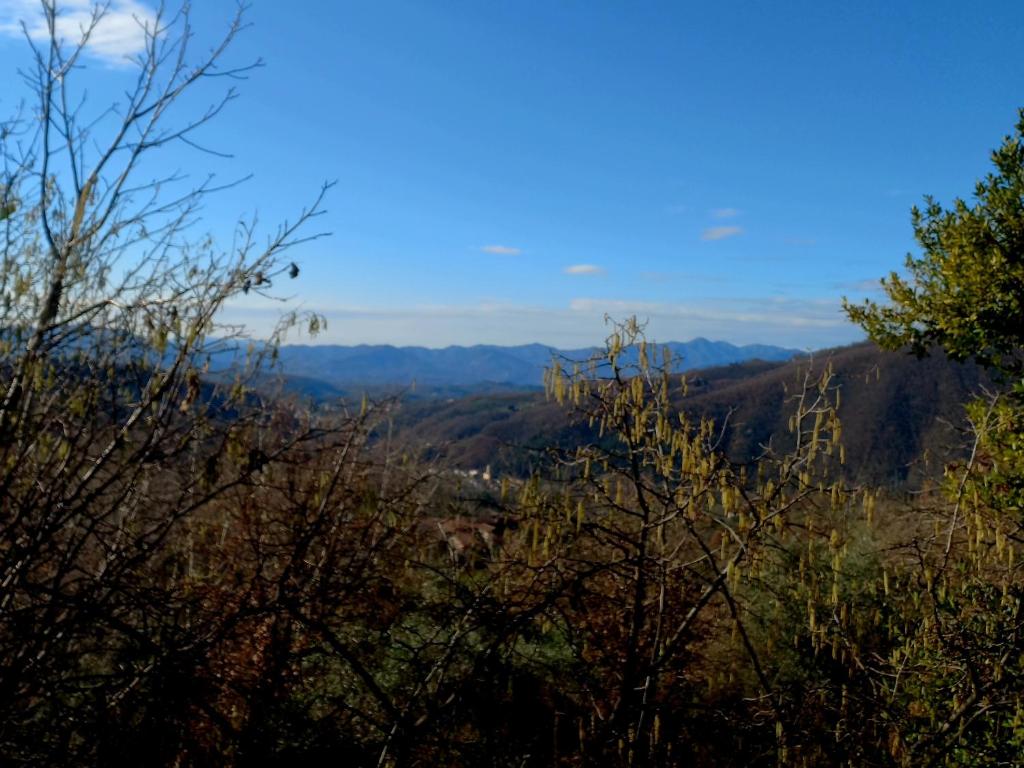 B&B La Risorgiva photo 4