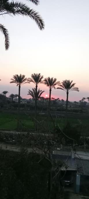 Loulouat Al Reef photo 1