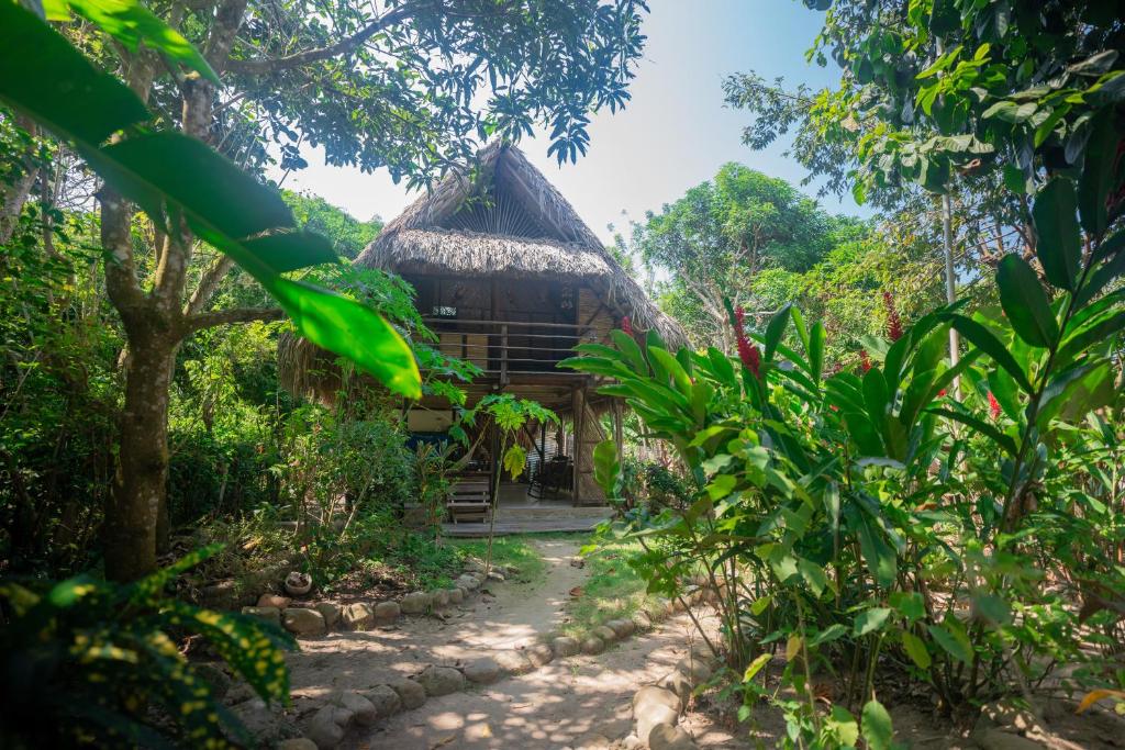 Casa Moringa photo 3