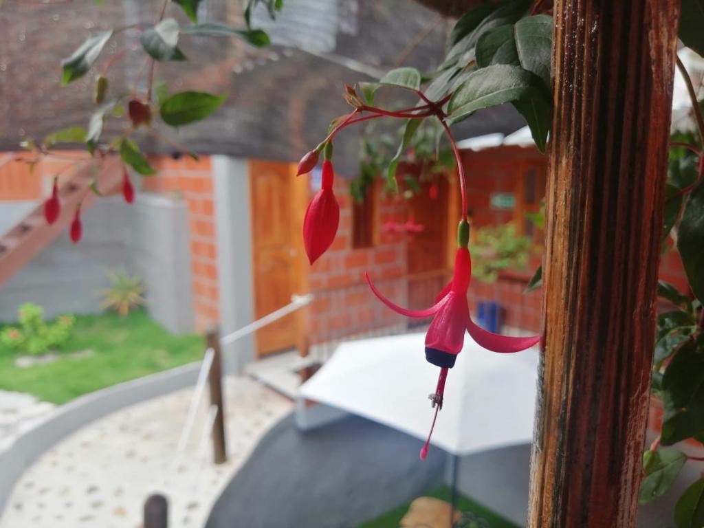 HOSTAL FAMAR photo 2