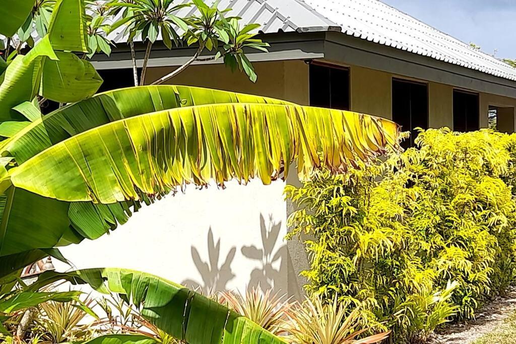 Havannah Palms Vanuatu photo 1