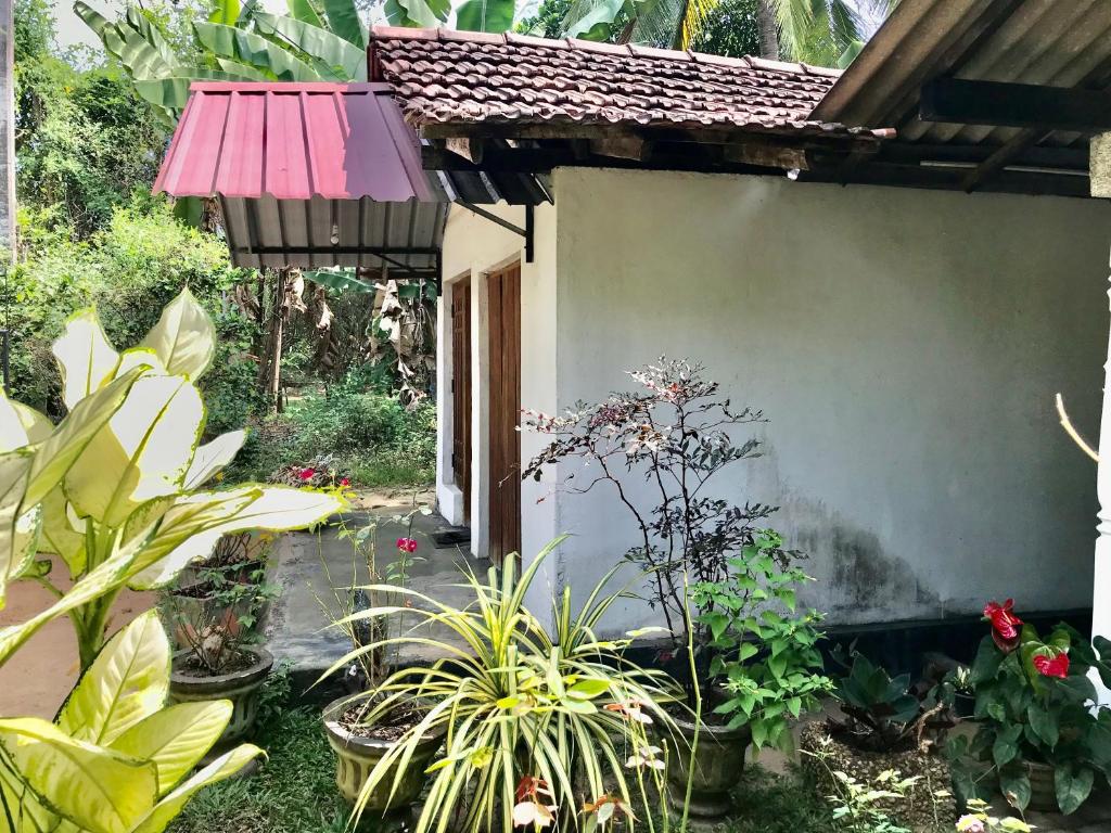 Lucky's Homestay photo 3