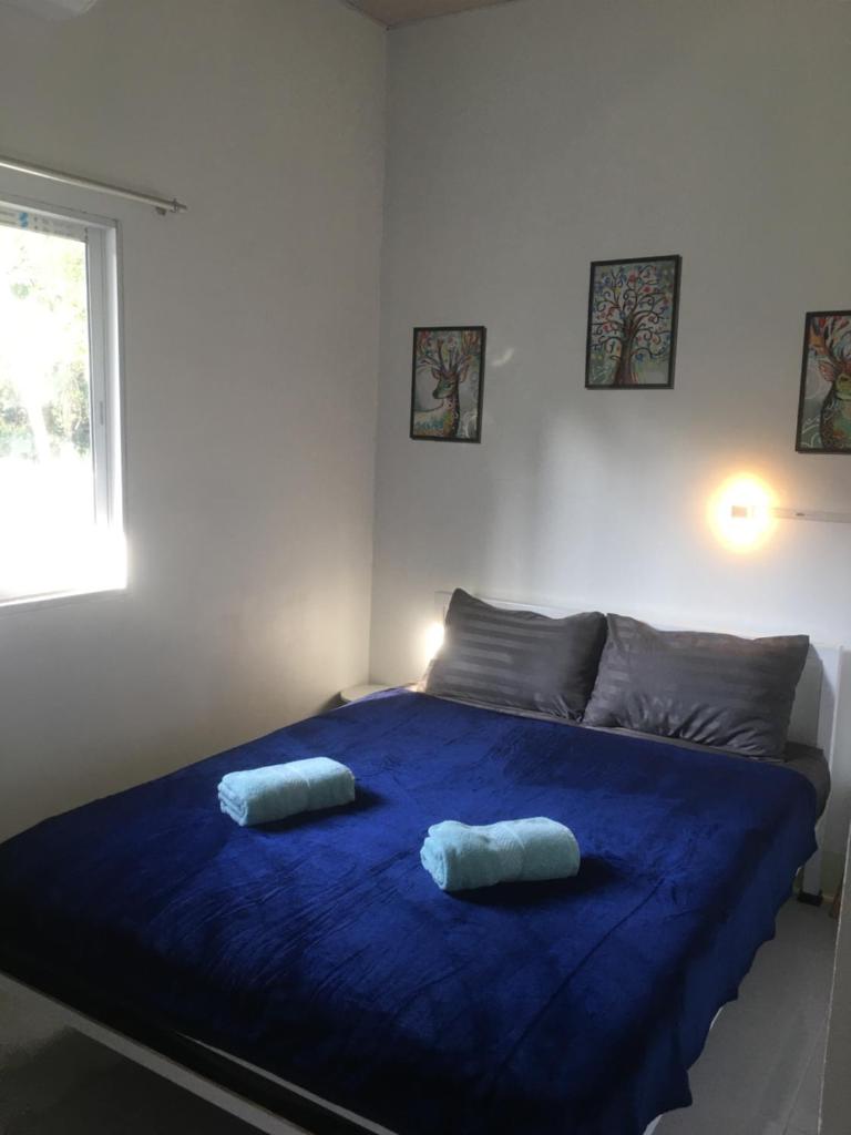World Citizen GuestHouse photo 3