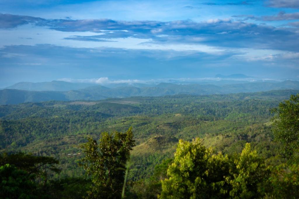 Serene Villa Beragala photo 2