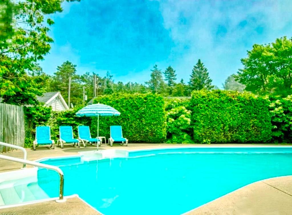 Black Horse Motor Inn photo 1