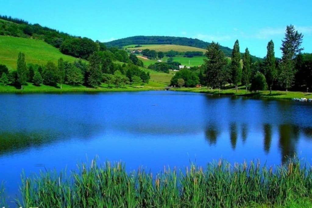 Maison paysanne de caractère au cœur des Monts du Lyonnais photo 3