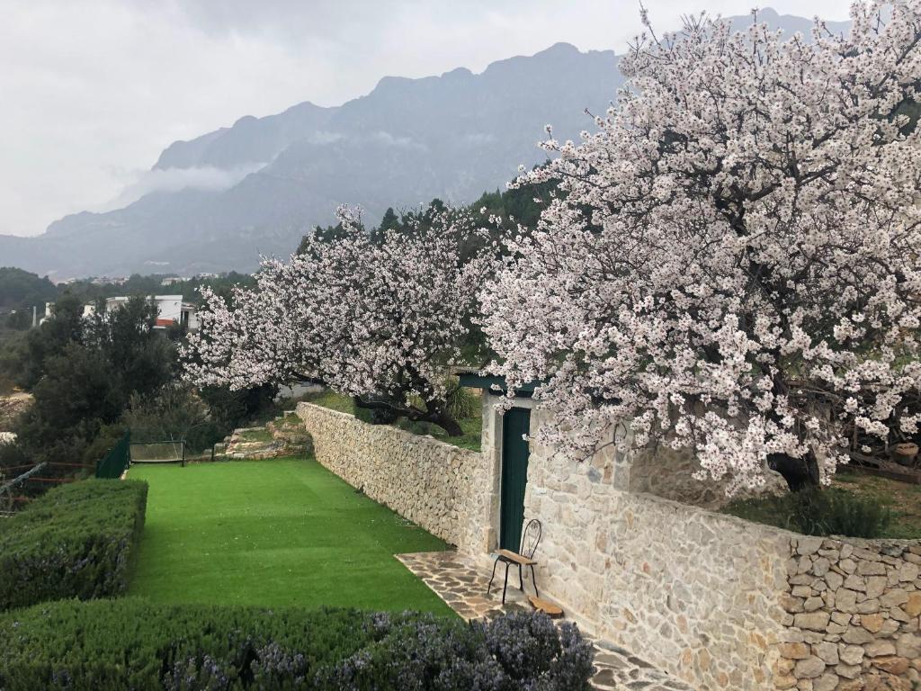Villa Filip Spa & Relax Makarska photo 1