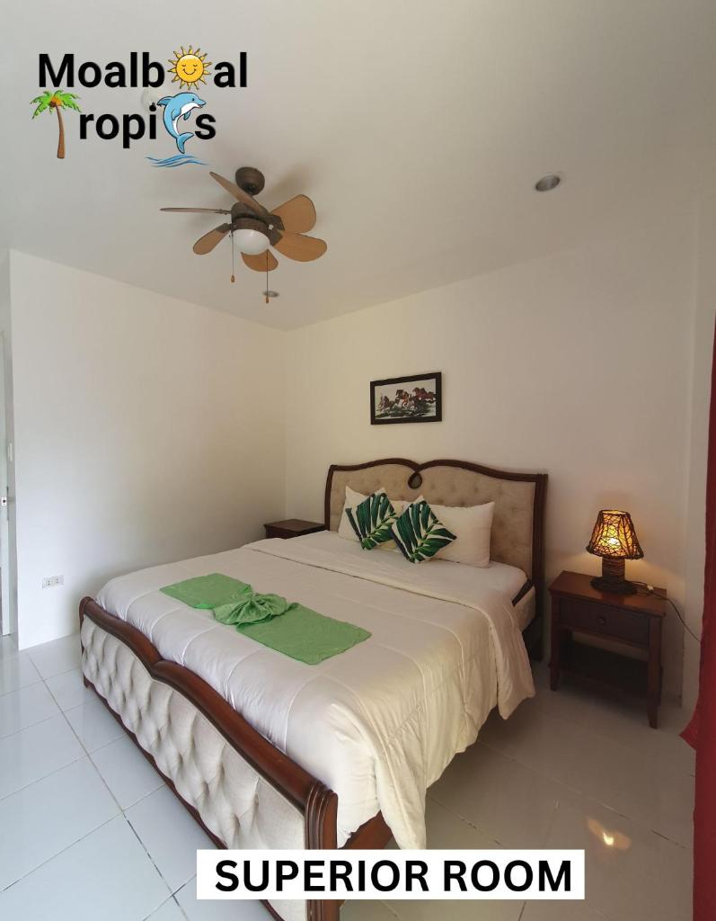 Moalboal Tropics photo 3