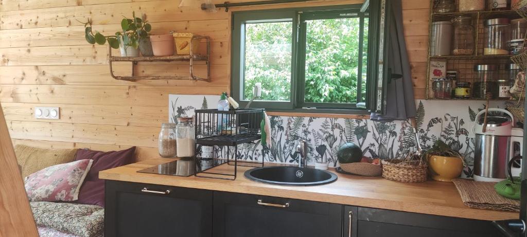 Tiny house bucolique photo 3