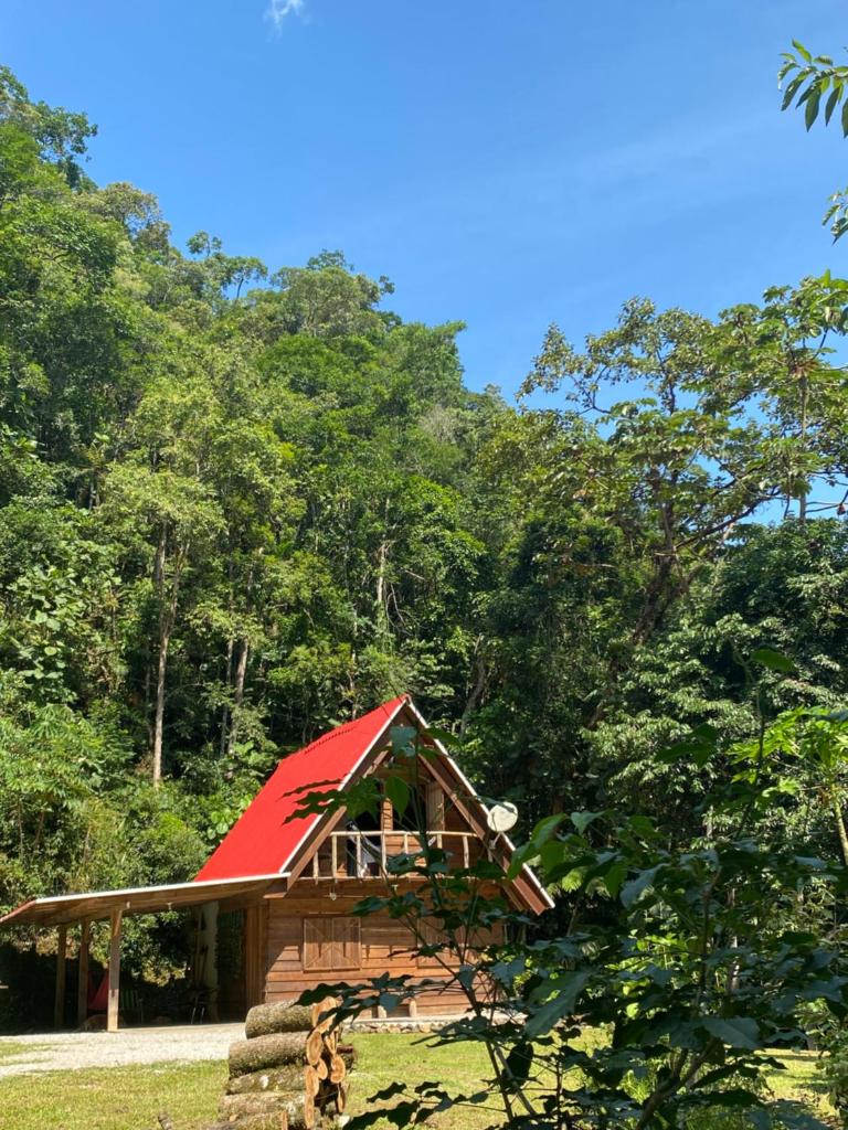 Chalé em meio à natureza! photo 1