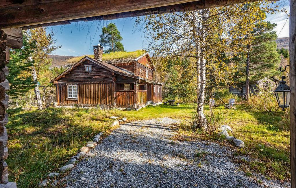 Nice Home In Bjorli With Wifi photo 2