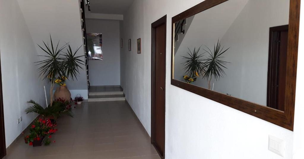 Green House Alba Iulia photo 1