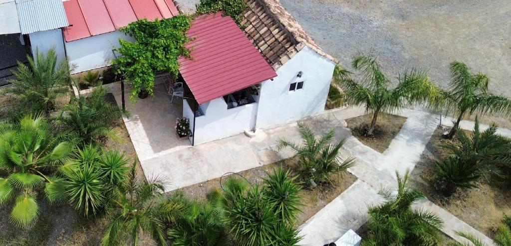 Rural cottage in holiday park with 55 m2 pool photo 1