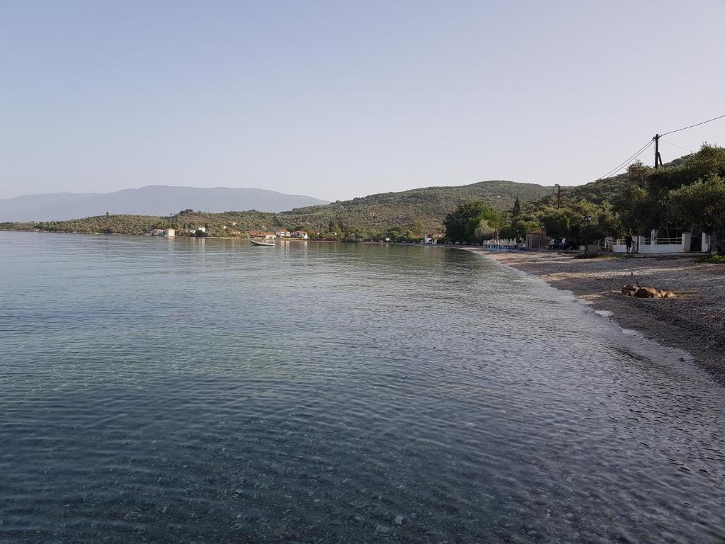 AMMOS & ASTERIAS FAMILY APARTMENTS photo 3