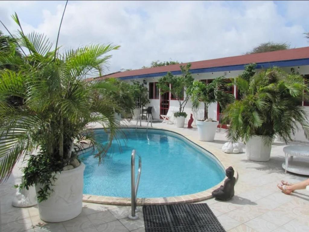Palmita Hotel Hostel photo 4