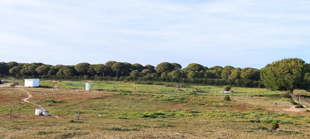 Refugio rural cerca de El Rocio- El flamenco azul photo 1