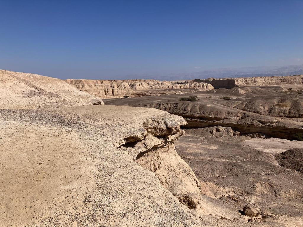 בריזה במדבר photo 4