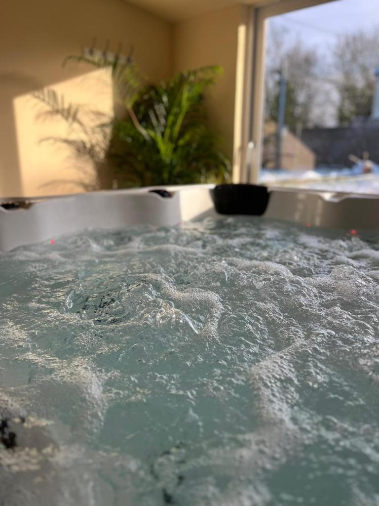 Maison bord de Marne pour 10 personnes avec jacuzzi photo 2