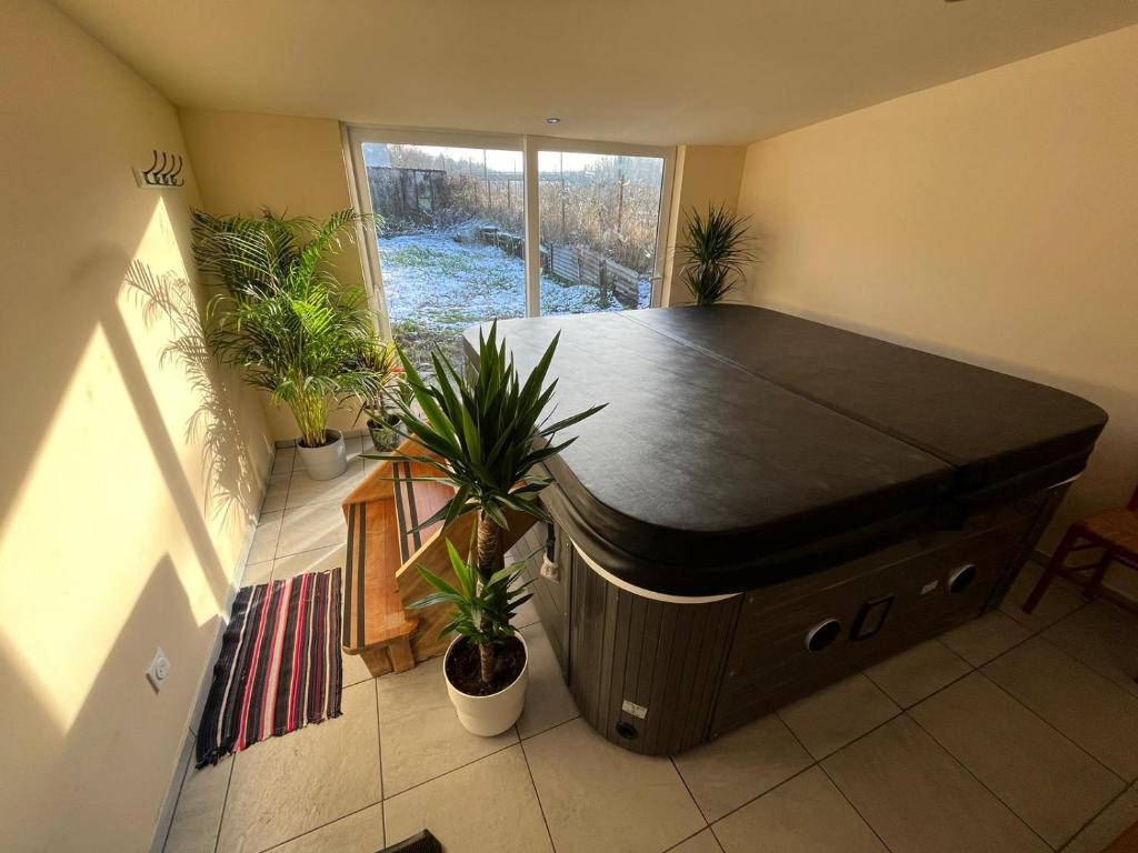 Maison bord de Marne pour 10 personnes avec jacuzzi photo 1