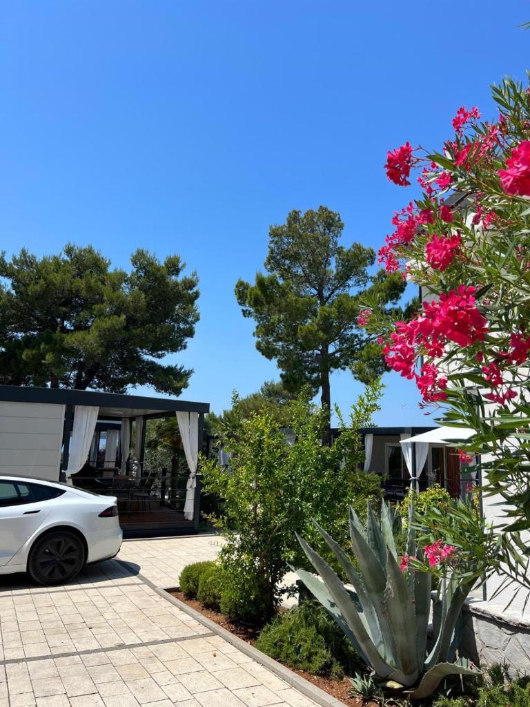 Dalmaris camp - prestige mobile homes Biograd na Moru photo 2