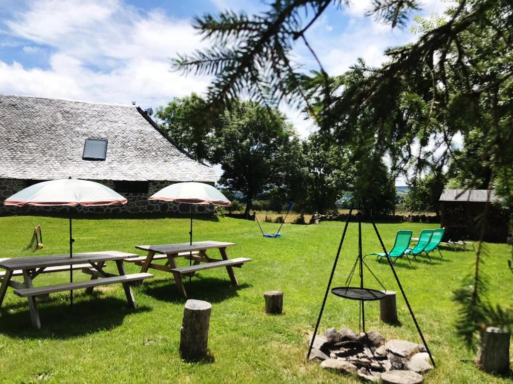 Les cailloux photo 3