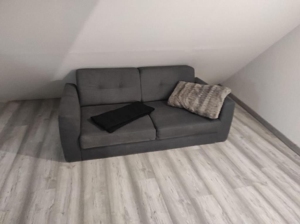 résidence luxe césar aeroport tillé 7 personnes photo 1