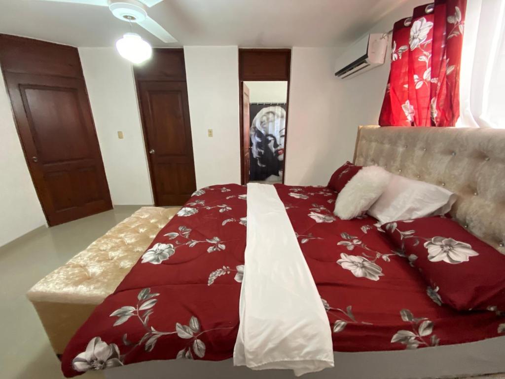 3 SANTO Dgo- Huge Charming apt close to all fun- TRANSFORMER AND INVERTER IF THE LIGHT GOES OFF photo 1