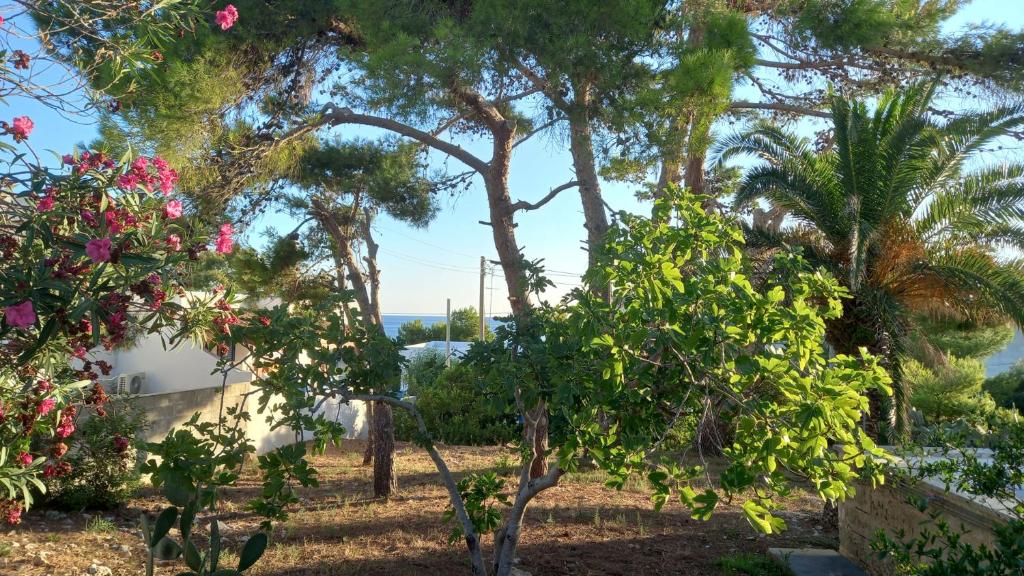A casa di Luchino photo 3
