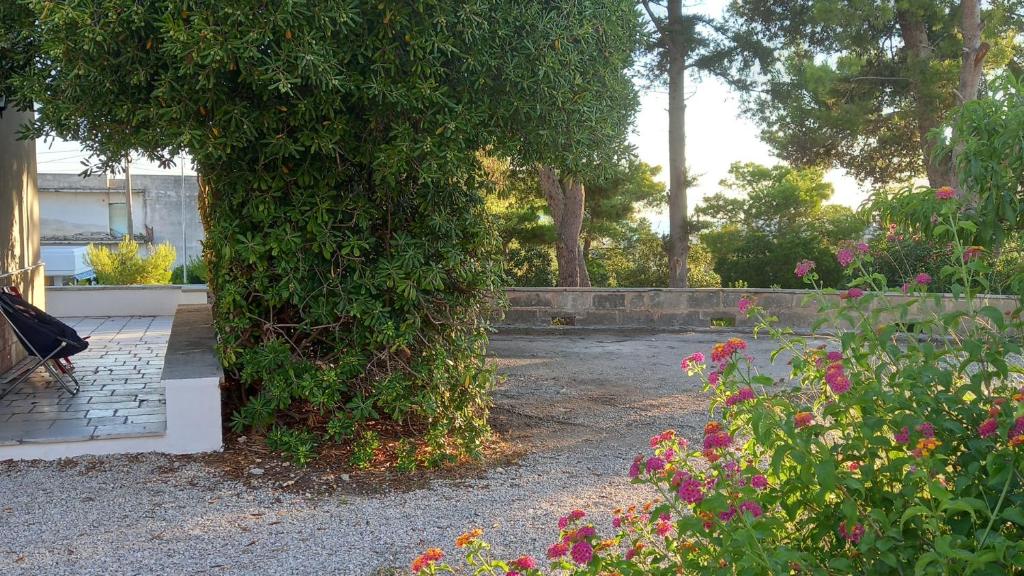 A casa di Luchino photo 1