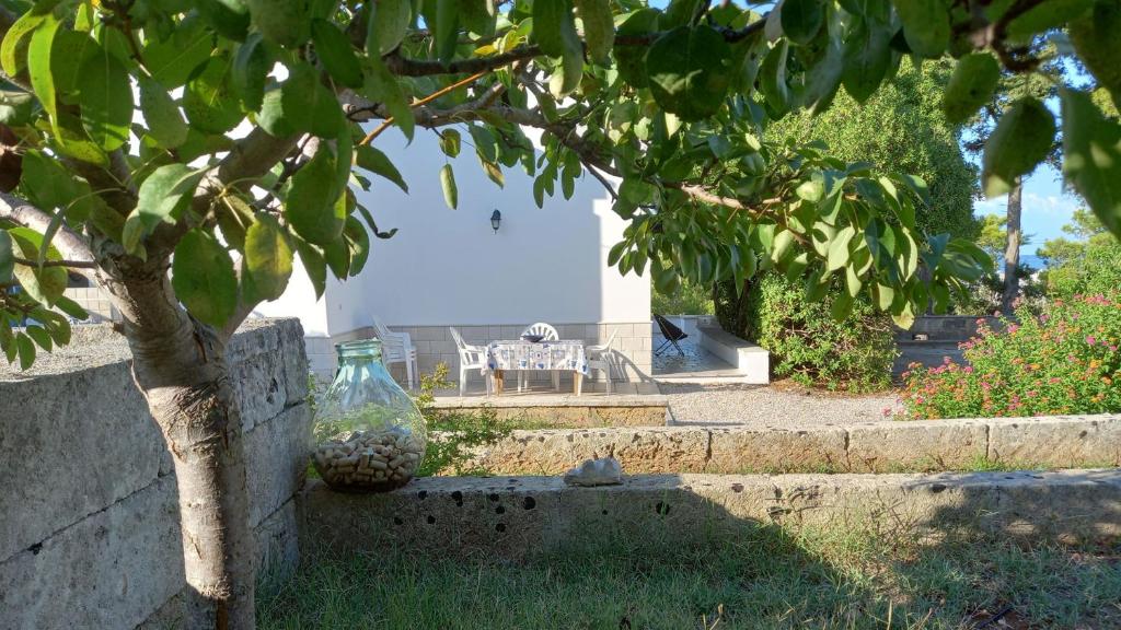 A casa di Luchino photo 2