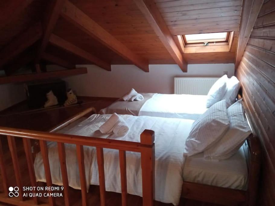 Agora Mansion photo 1
