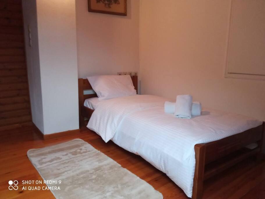 Agora Mansion photo 4