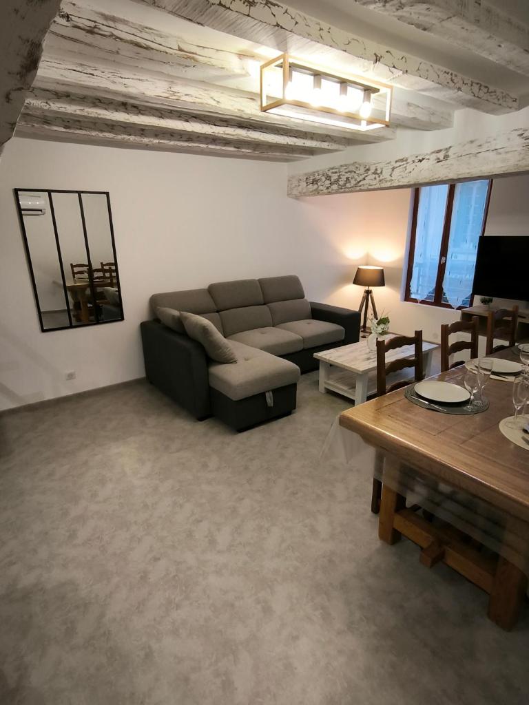 Appartement 6-8 personnes, gîte, climatisé, classé 3 étoiles, proche du zoo de Beauval et des châteaux de la Loire photo 2