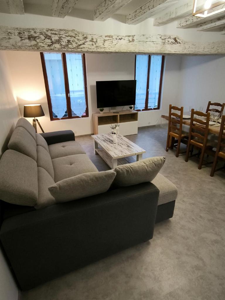 Appartement 6-8 personnes, gîte, climatisé, classé 3 étoiles, proche du zoo de Beauval et des châteaux de la Loire photo 3